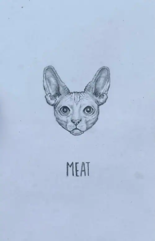 Cute cat sketch with large ears, realistic details, and the word "MEAT" below. Perfect for feline art and pet illustration enthusiasts.