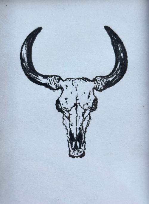 Bold bull skull illustration for southwestern or rustic decor.