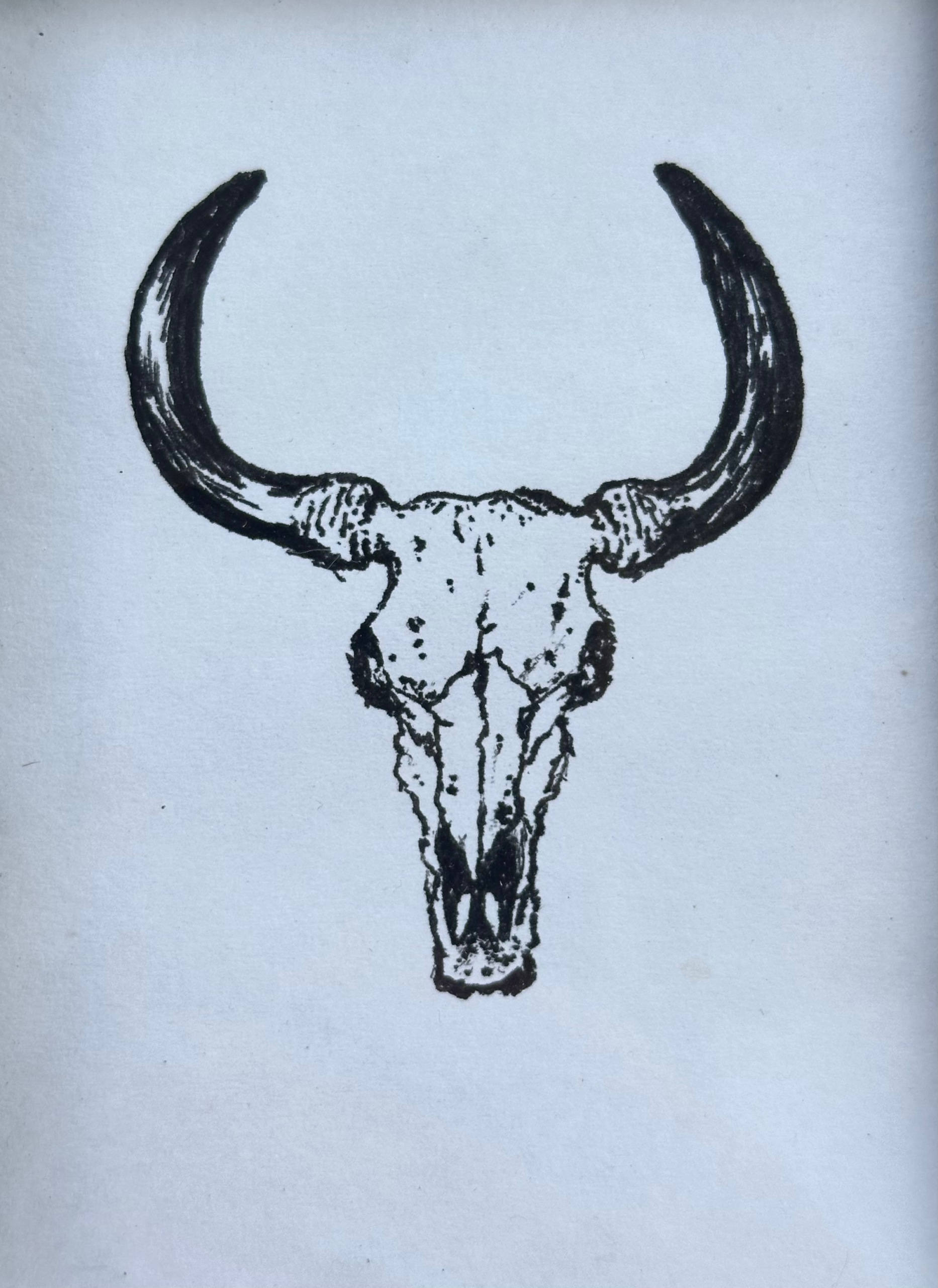 Bold bull skull illustration for southwestern or rustic decor.