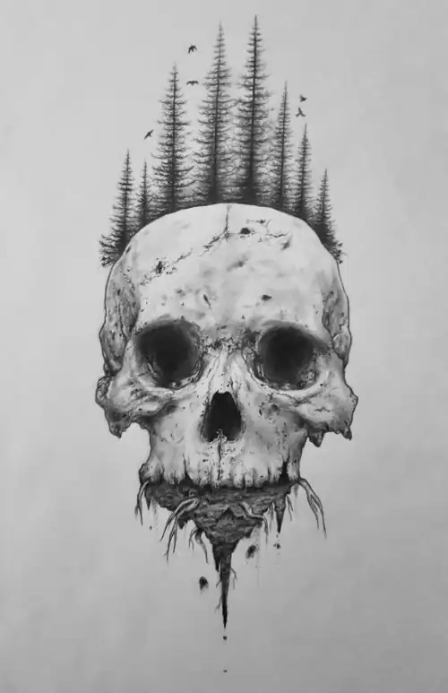 Dark skull with tall trees and flying birds creating a mysterious, nature-inspired artwork.